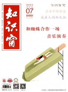 点击查看知识窗