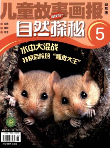 点击查看儿童故事画报