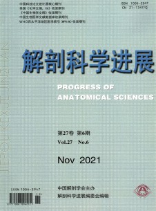 点击查看解剖科学进展