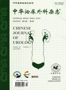点击查看中华泌尿外科